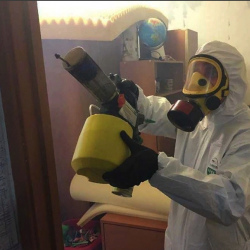 Уничтожение клопов в квартире. Череповец